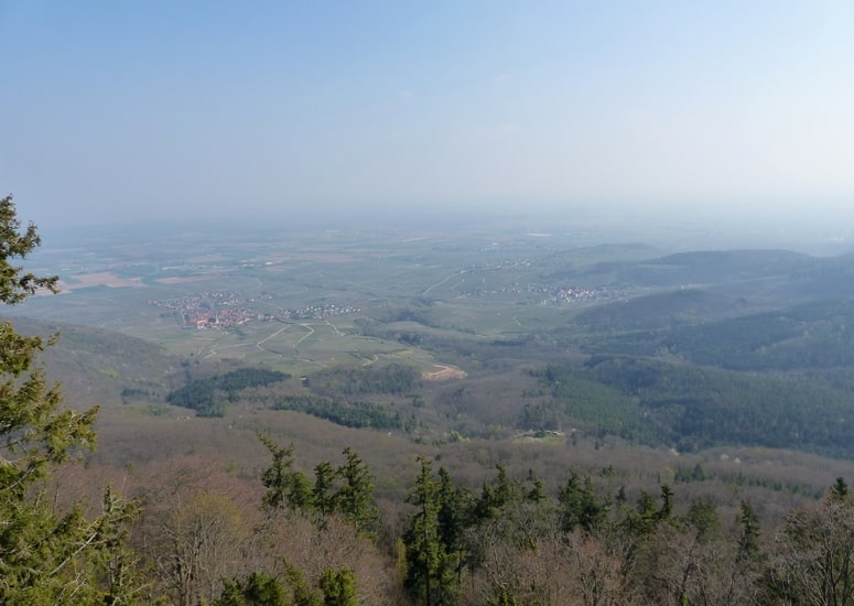 Vue sur la Plaine d'Alsace depuis le Grand Bastion