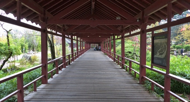 Couloir du jardin japonais de l'île de Versailles